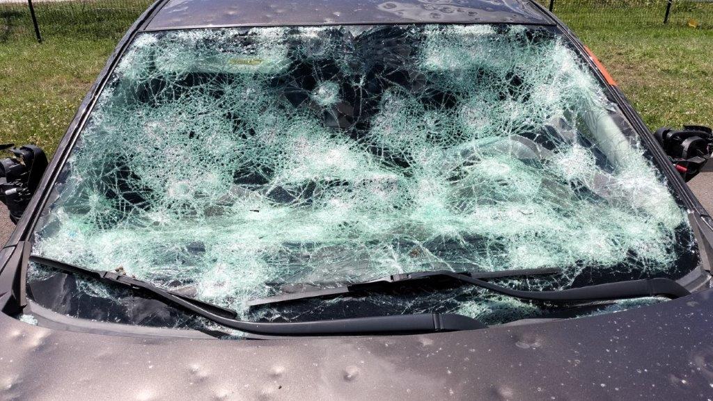 expert bris de glace